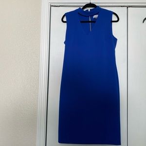 Size 10 Calvin Klein royal blue sheath dress.